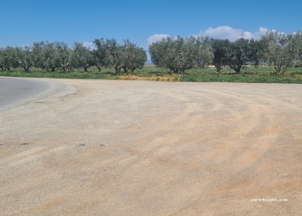 (04210) Valensole - D6A — foto