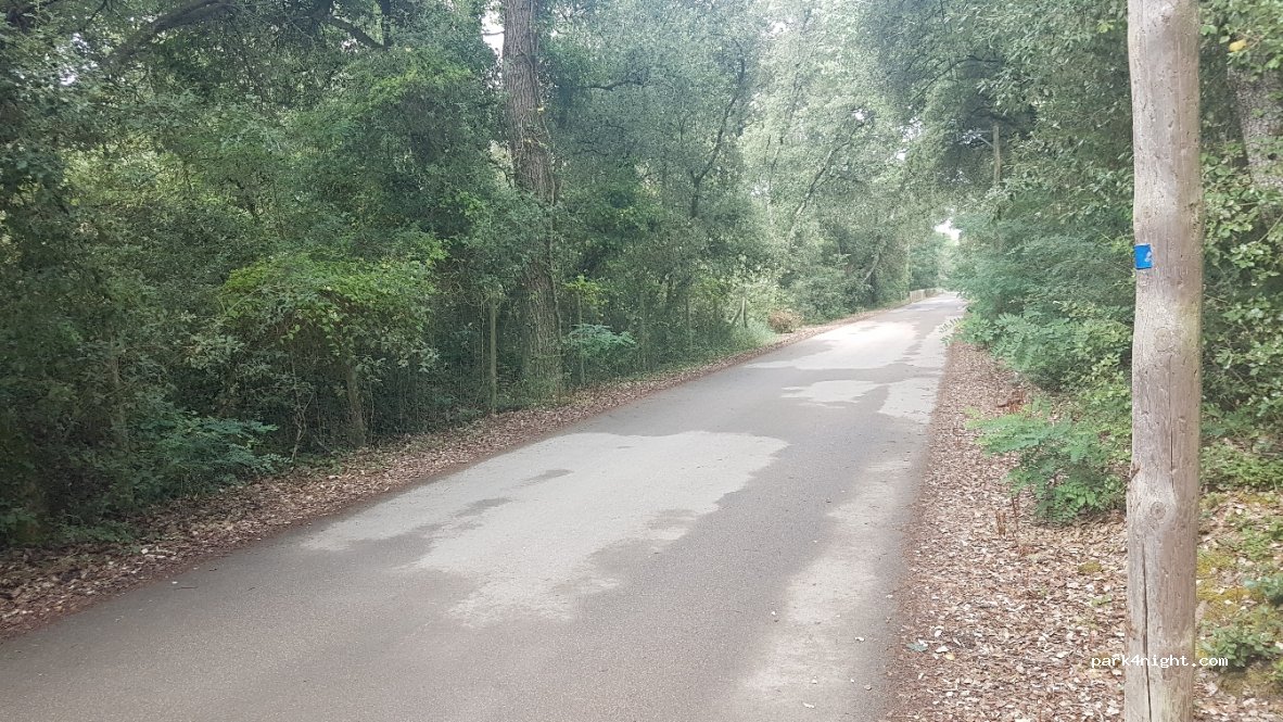 (85270) Saint-Hilaire-de-Riez - 53-59 Chemin des Garennes — foto 3