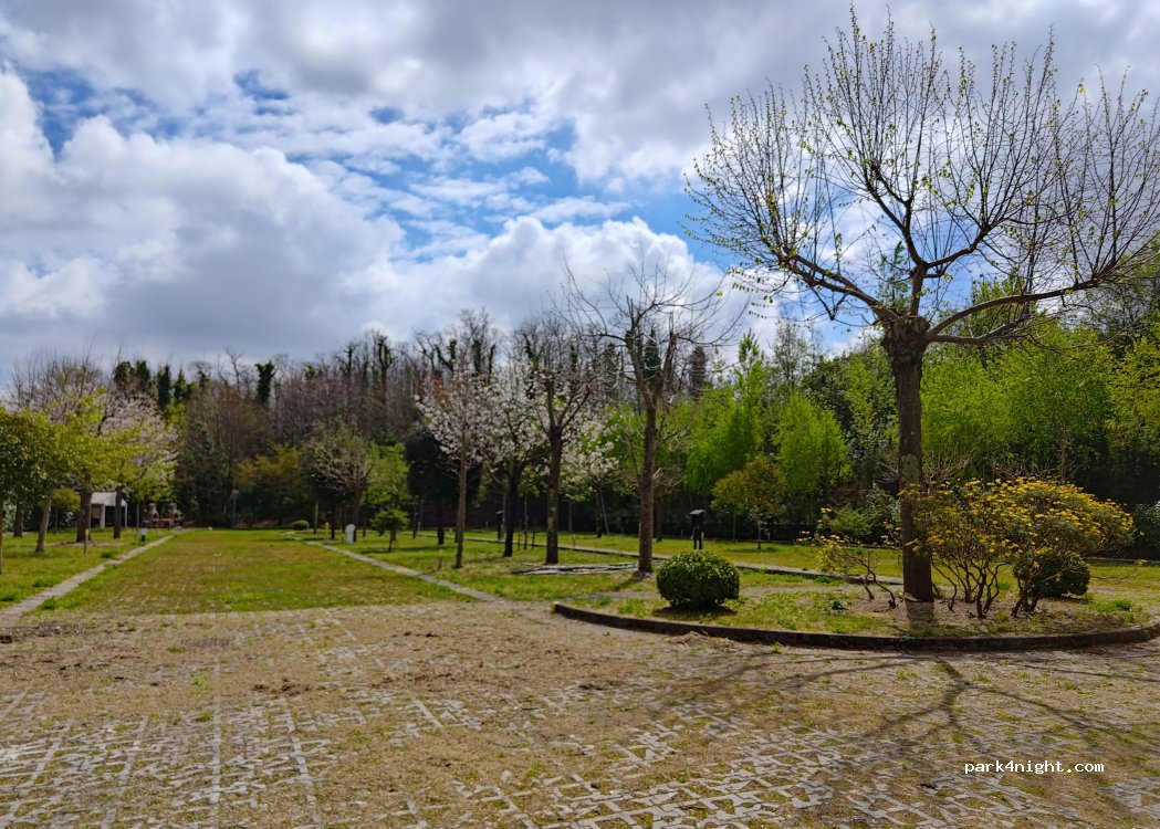 (80131) Napoli - 121 Via Comunale Guantai Ad Orsolone — foto