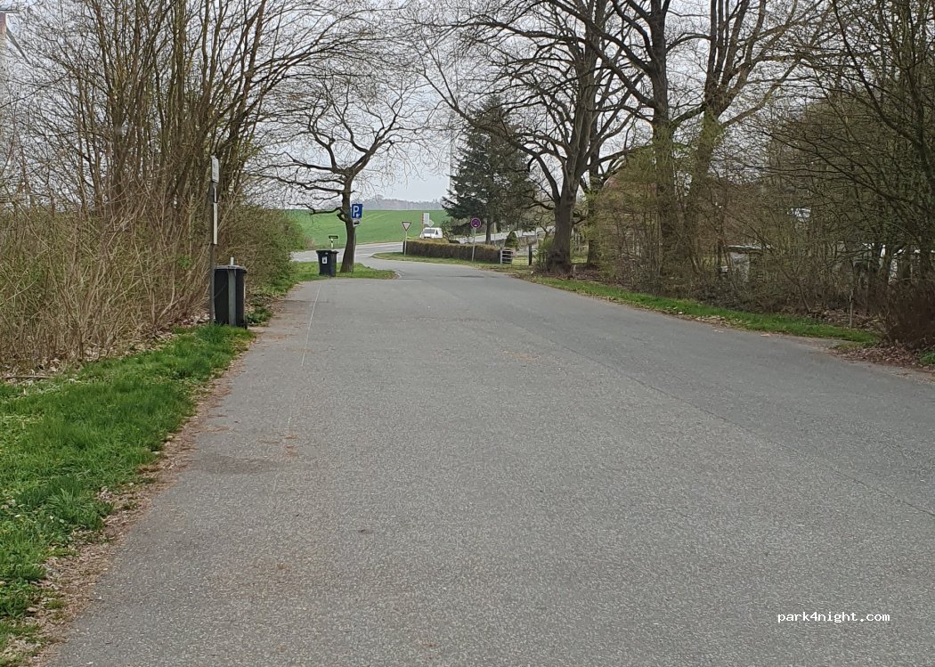(21481) Buchhorst - 1 Landstraße — foto