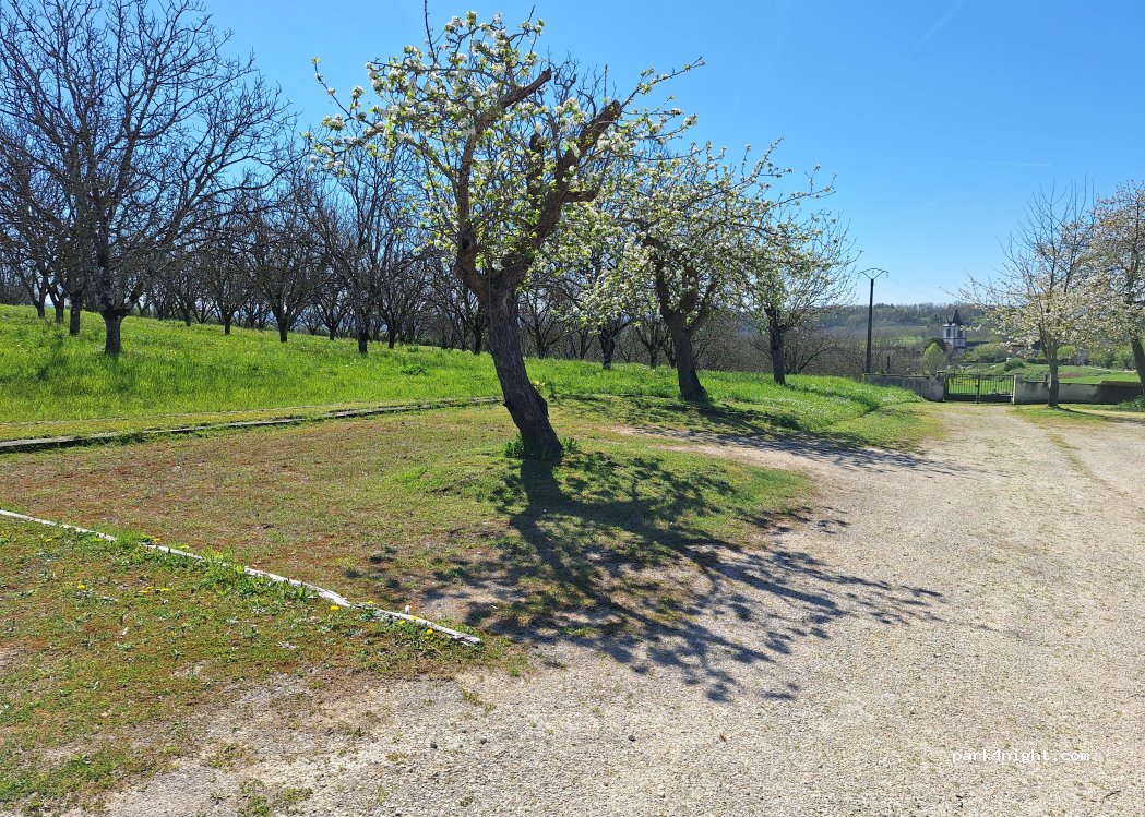 (19500) Branceilles - 1521 Route de la Vigne — foto 2