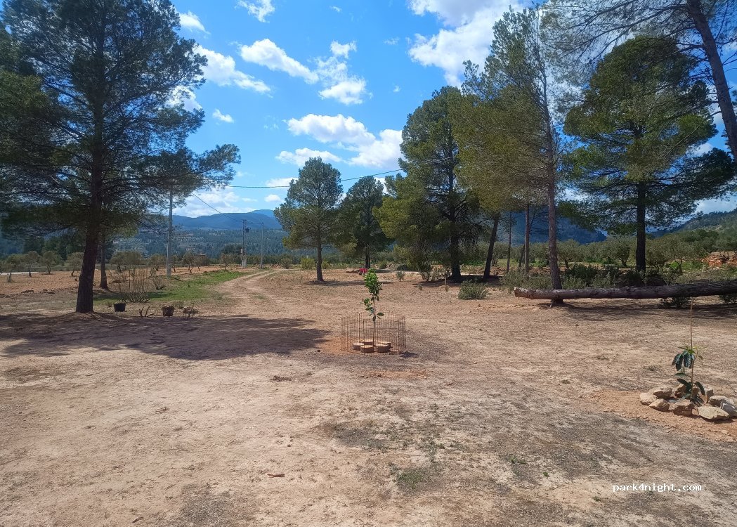 Casa Las Maletas — foto 4