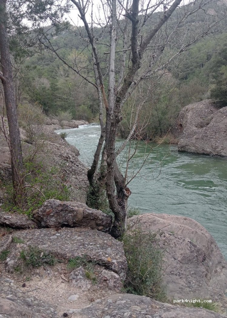 (08698) Berga - Vias Verdes del Llobregat — foto 2
