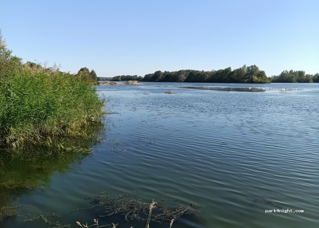 (427373) Delureni - — foto 5