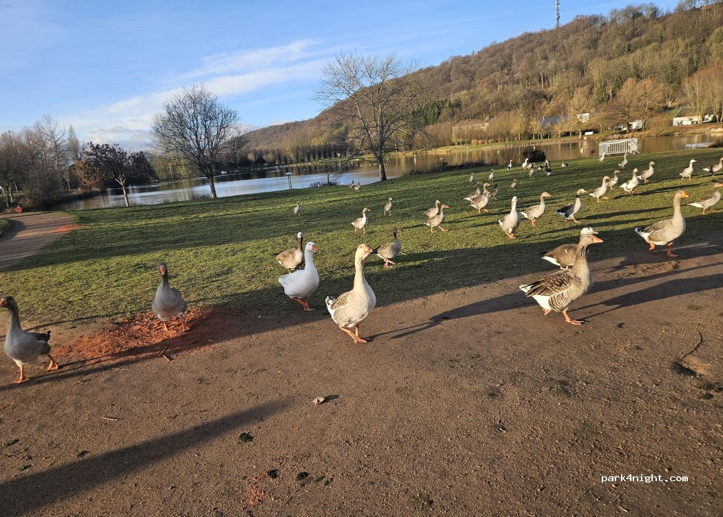 (76710) Montville - 32 Sentier d'Eslettes — foto 5