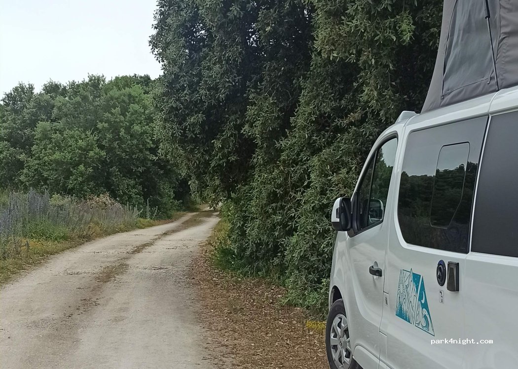 (17310) Saint-Pierre-d'Oléron - — foto 3