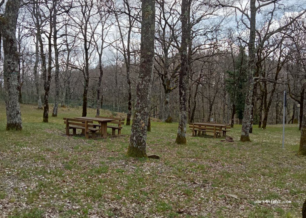 (05010) San Venanzo - SS317 — foto 2