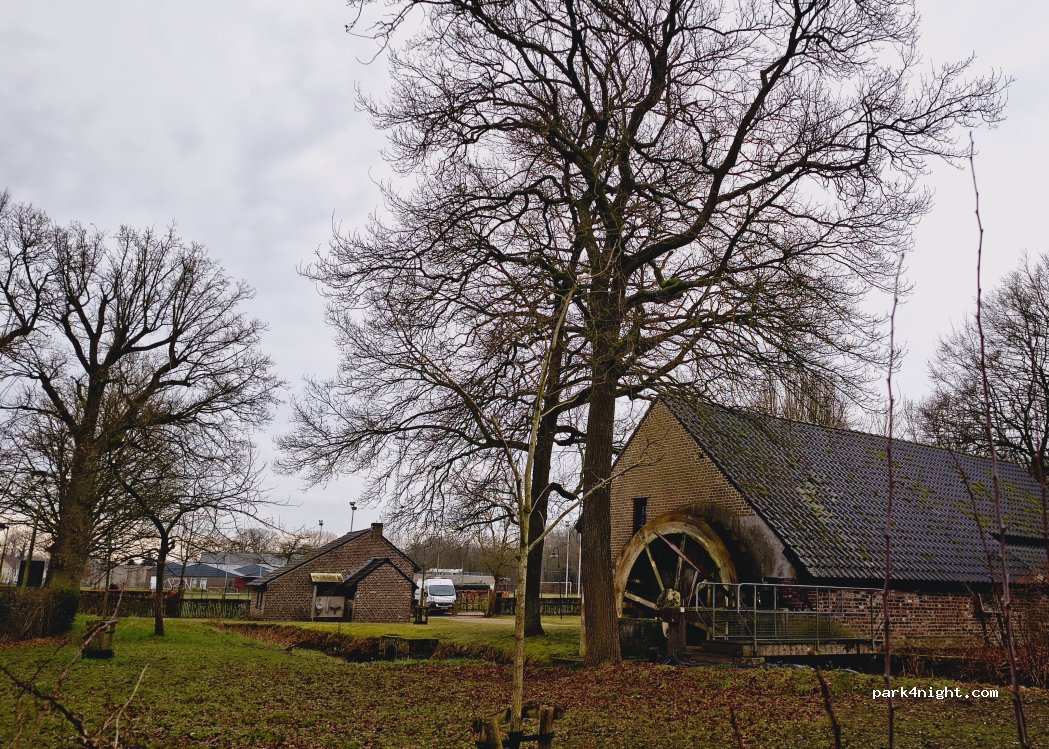 (3680) Maaseik - 4-20 Kleeskensmolenweg — foto 2