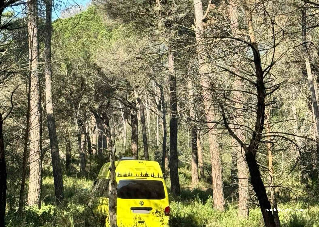 (17256) Sa Riera - — foto