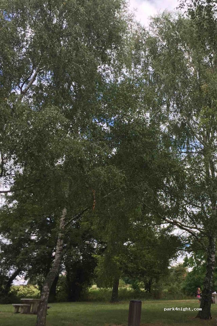 (18210) Bessais-le-Fromental - Les Quatre Vents — foto 2
