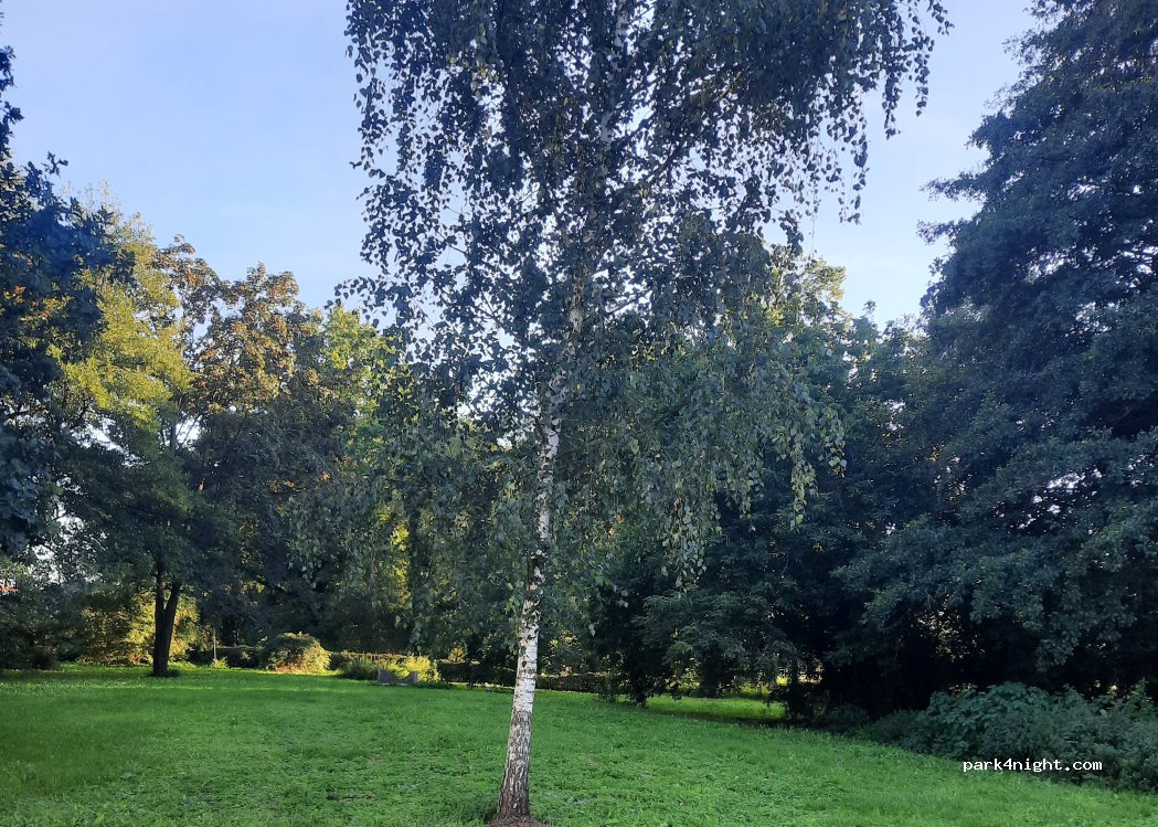 Die alte Stadtmuehle — foto