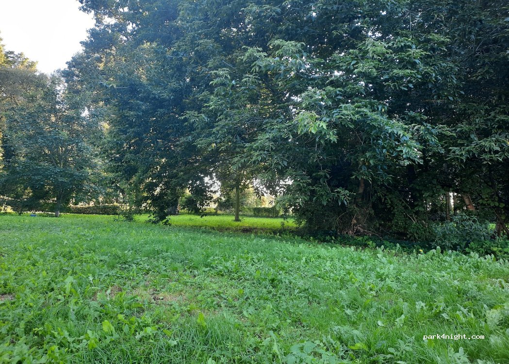 Die alte Stadtmuehle — foto 3