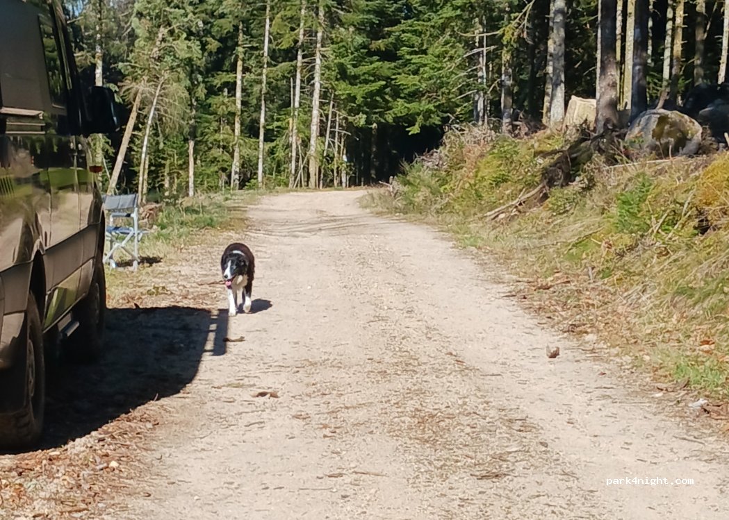 (42430) Chausseterre - — foto 2