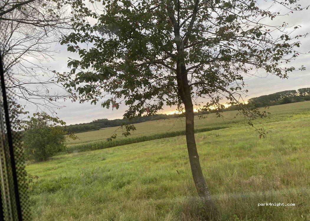 Mørkenborg - Fasangaarden — foto 4