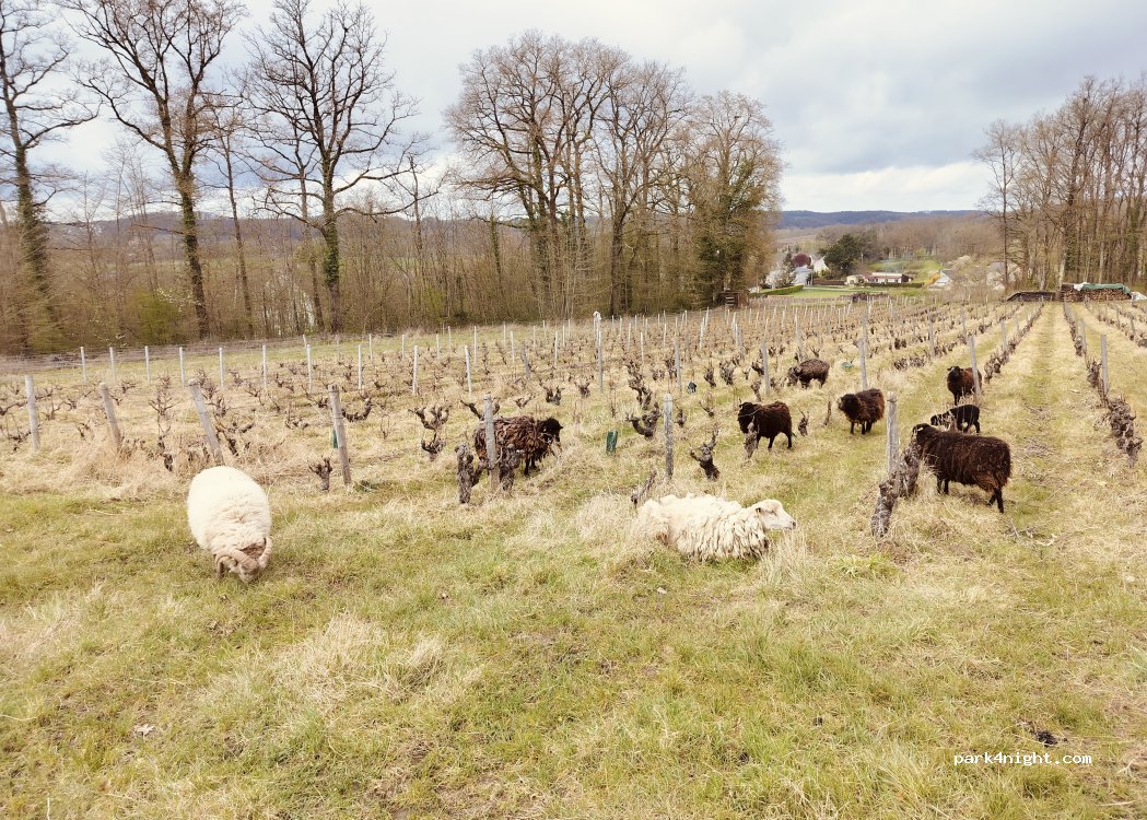 AOC Vouvray — foto