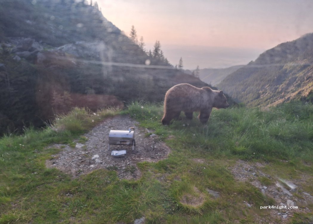 (557070) Cârțișoara - Transfăgărășan — foto 4
