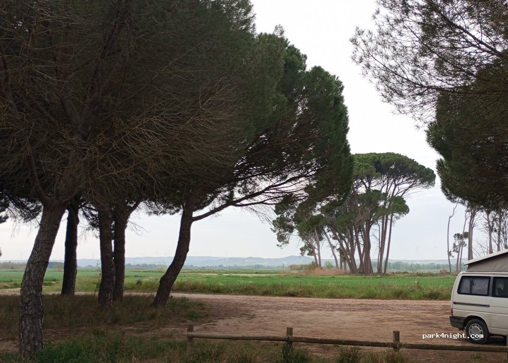 (50195) La Alfranca - — foto 2