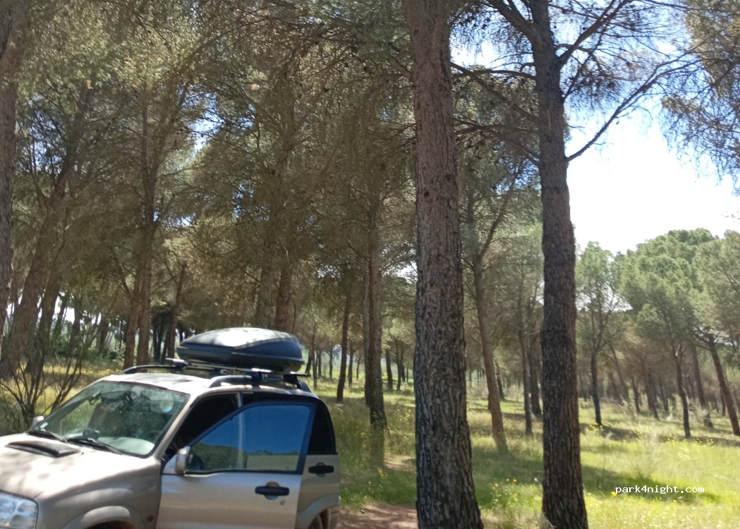 (50195) La Alfranca - — foto 3