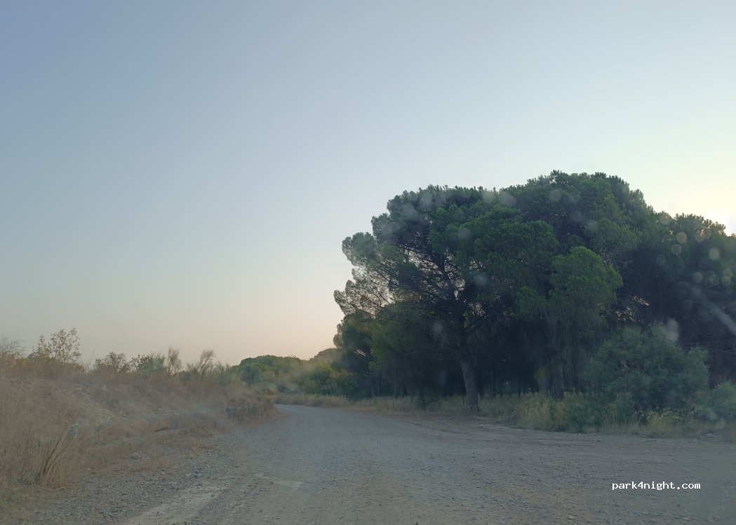 (50195) La Alfranca - — foto 4