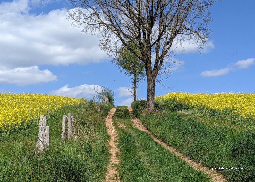 (81430) Mouzieys-Teulet - 622 Route de la Chapelle — foto 3