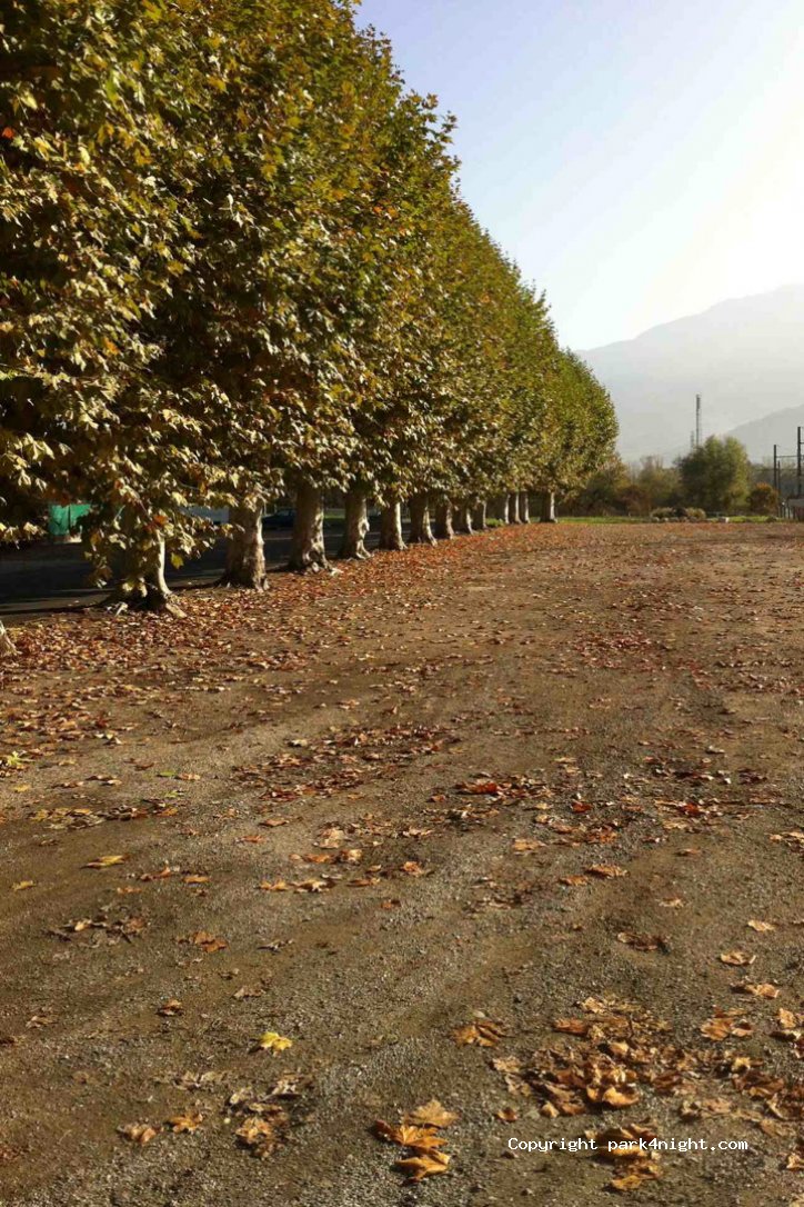 (73460) Grésy-sur-Isère - Rue de la Gare — foto