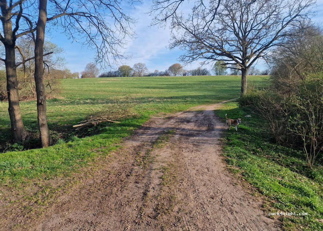(23795) Klein Gladebrügge - Unnamed road — foto