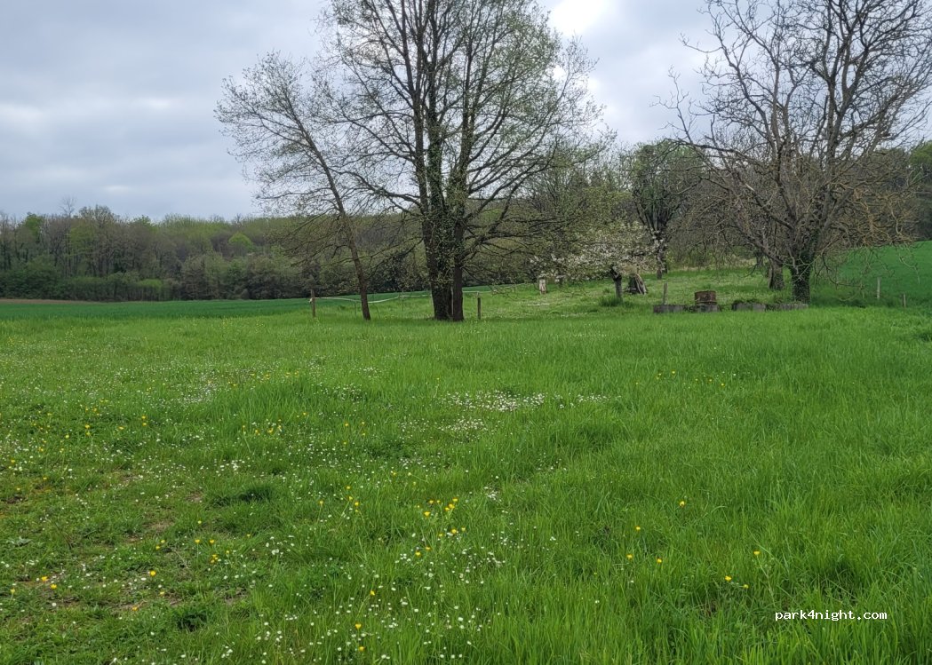 (49350) Gennes-Val-de-Loire - 14 Lieu dit — foto