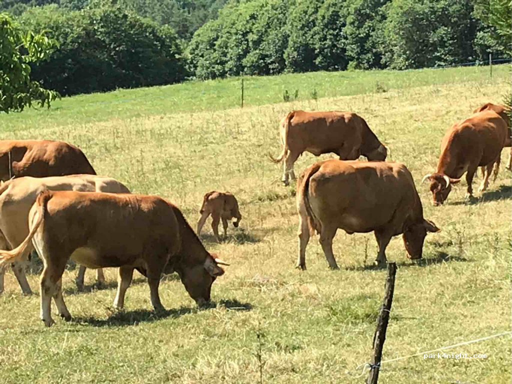 Camping Ferme de la Brauge — foto 2