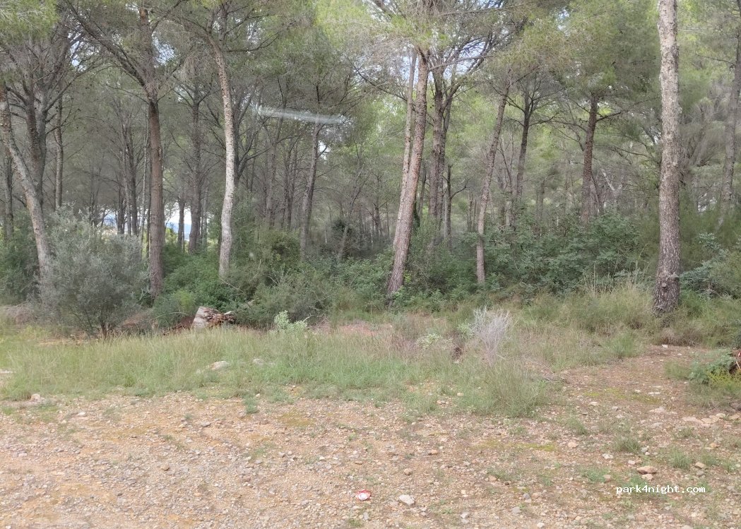 (12594) Orpesa - 130 Carrer Ginebre — foto 3