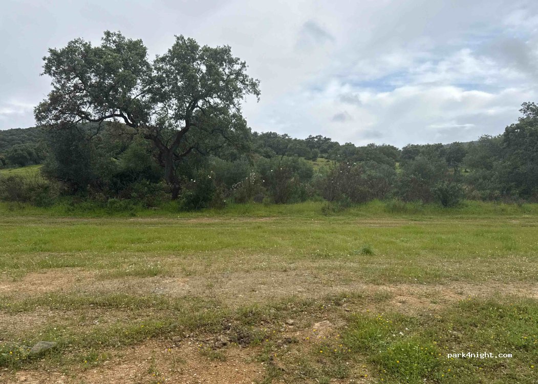 (41890) El Pedrosillo - Unnamed Road — foto