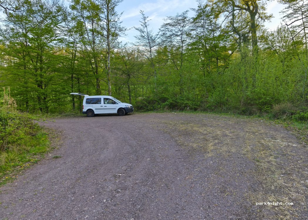 (67110) Niederbronn-les-Bains - 1 Hochscheid — foto