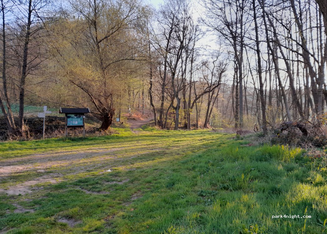 (34346) Hann. Münden - — foto
