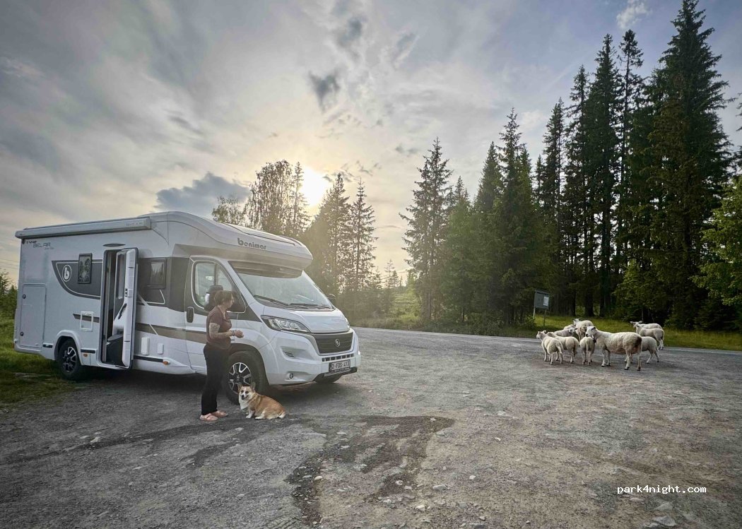 (2618) Lillehammer - 28 Sjøsetervegen — foto 2