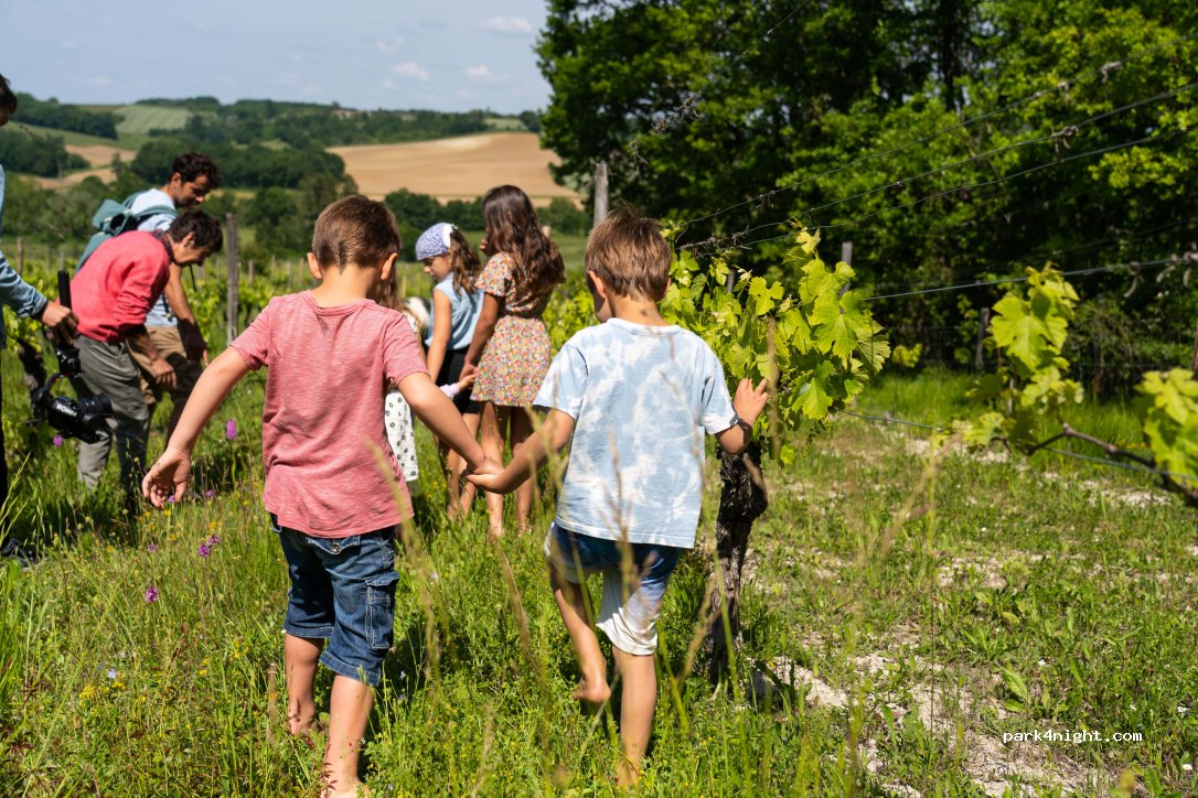 Domaine Les Hauts de Riquets — foto 2