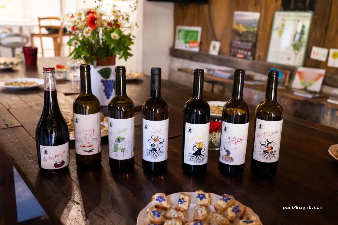 Domaine Les Hauts de Riquets — foto 3