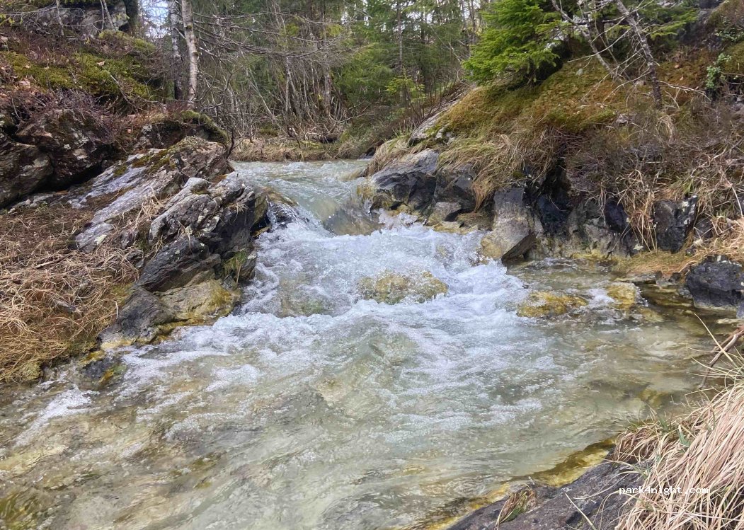 (8960) Hommelstø - Velfjordveien — foto 3