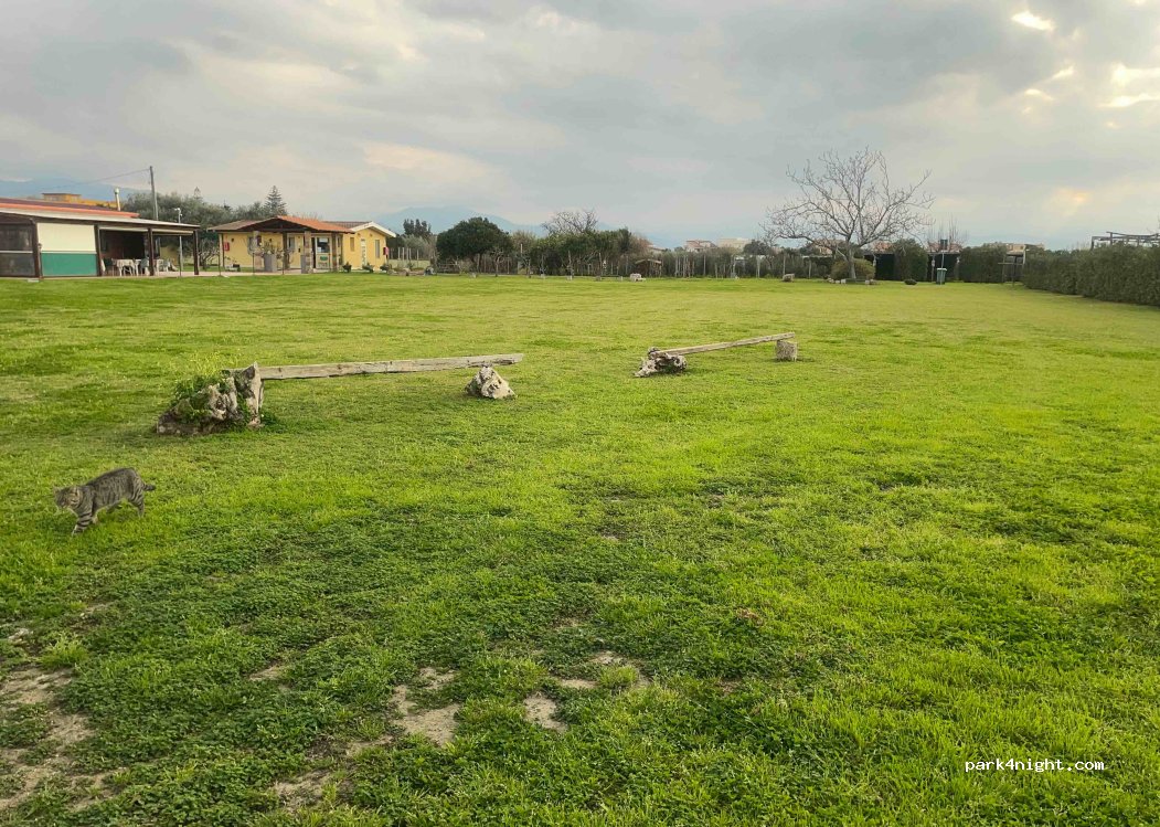 Agriturismo Il Gelsomino Ritrovato — foto 4