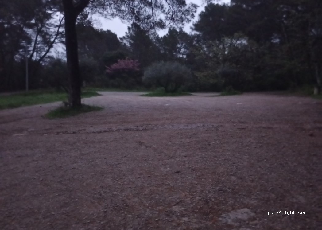 (83510) Lorgues - 380 Chemin de Saint-Ferréol — foto