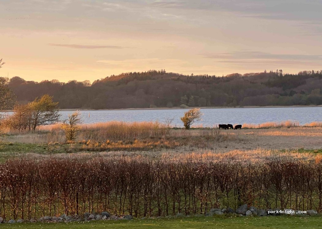 (9550) Mariager - Hadsund Mariagervej 100 — foto 2