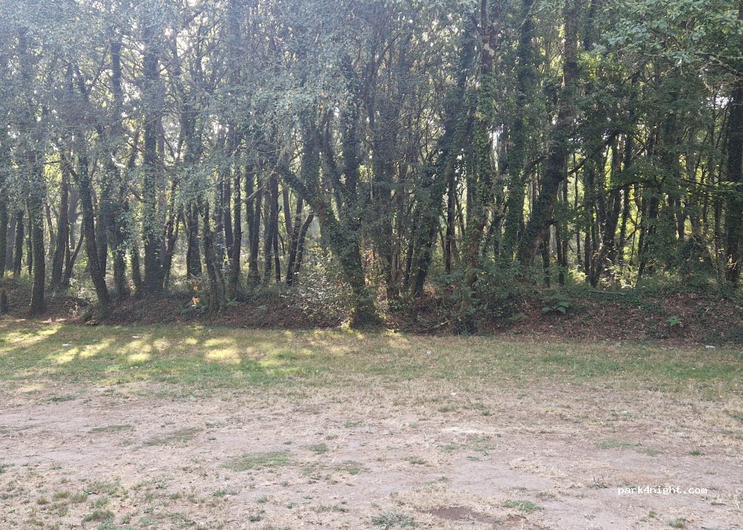 (15863) Negreira - 14 Covas — foto 5
