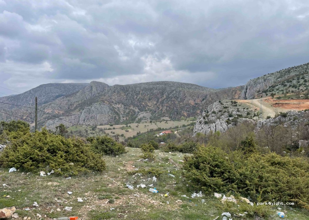 (05000) Çakallar - — foto