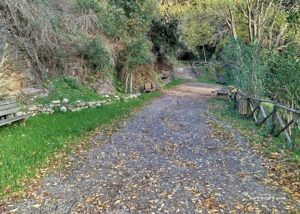 (88818) Pallagorio - Strada Provinciale 53 Serra Muzzuneti — foto