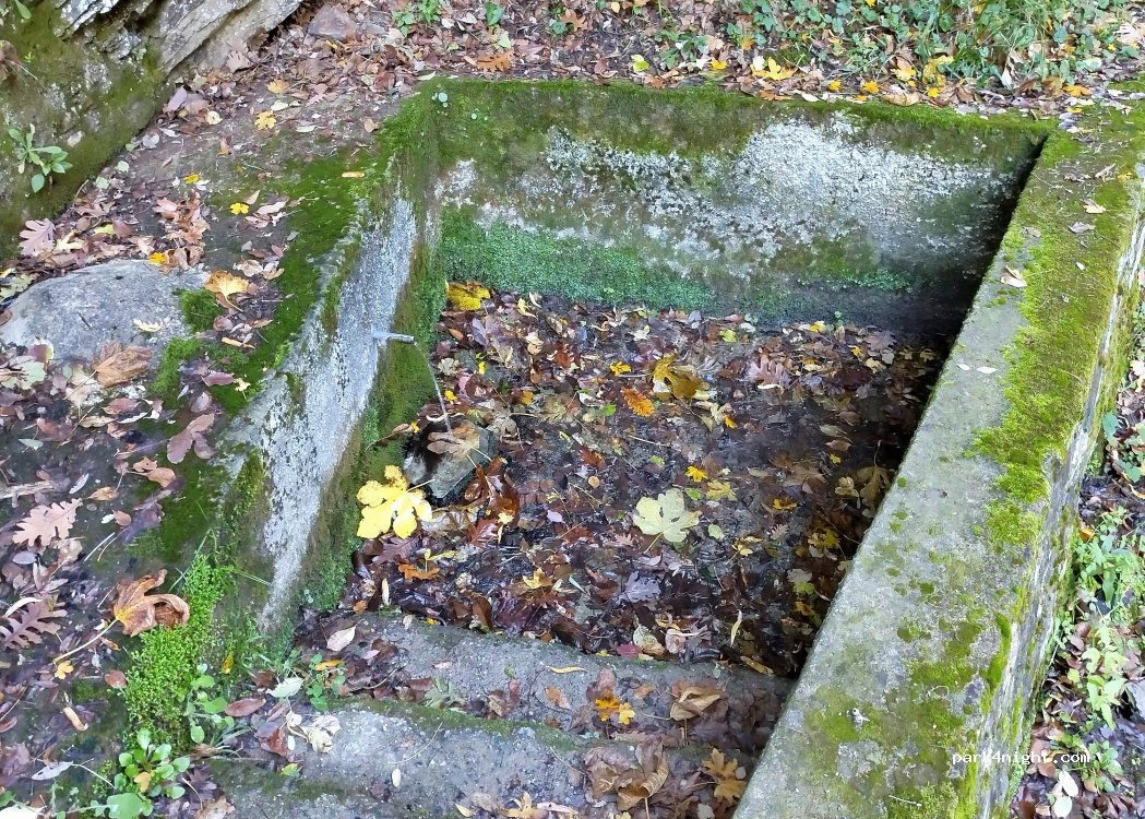 (88818) Pallagorio - Strada Provinciale 53 Serra Muzzuneti — foto 4