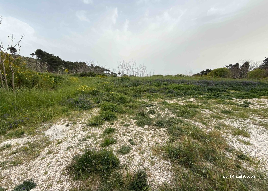 (91016) Erice - Unnamed road — foto 2