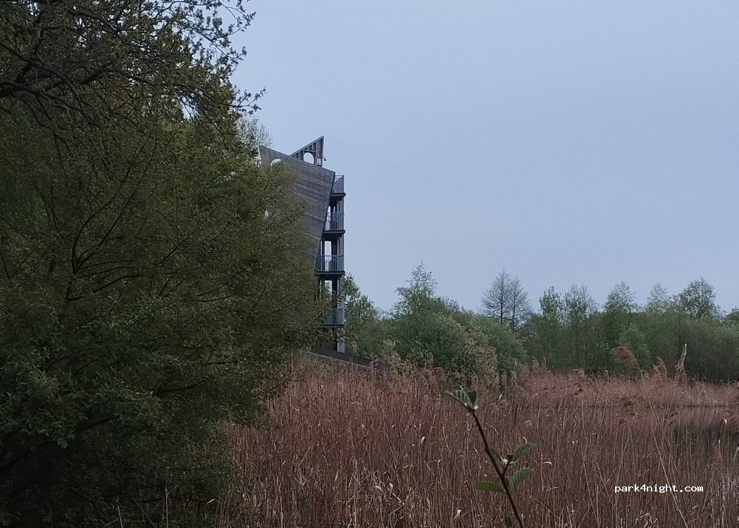 (3520) Zonhoven - 11 Bolderdal — foto 2