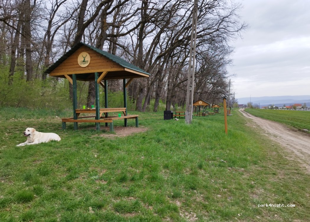 (545300) Reghin - Unnamed road — foto 3