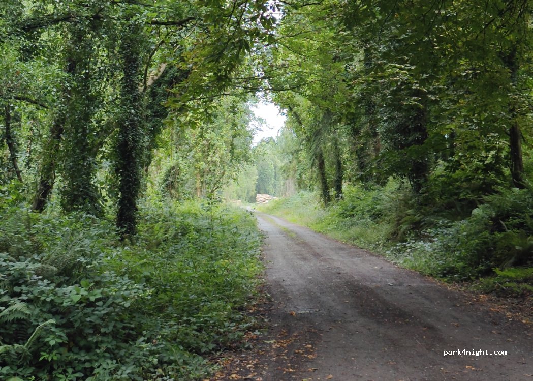 (E45) Ballingear - — foto