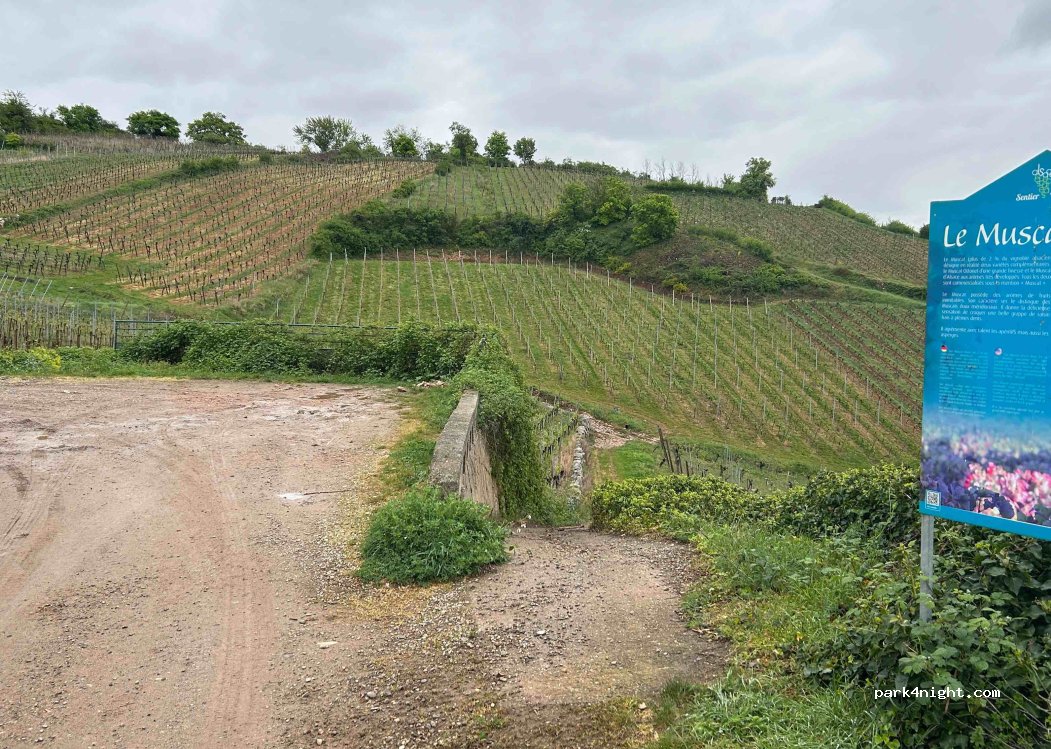 (68240) Kaysersberg-Vignoble - — foto