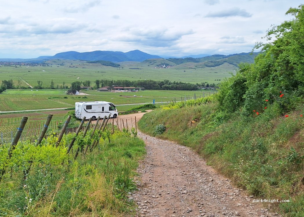 (68240) Kaysersberg-Vignoble - — foto 3