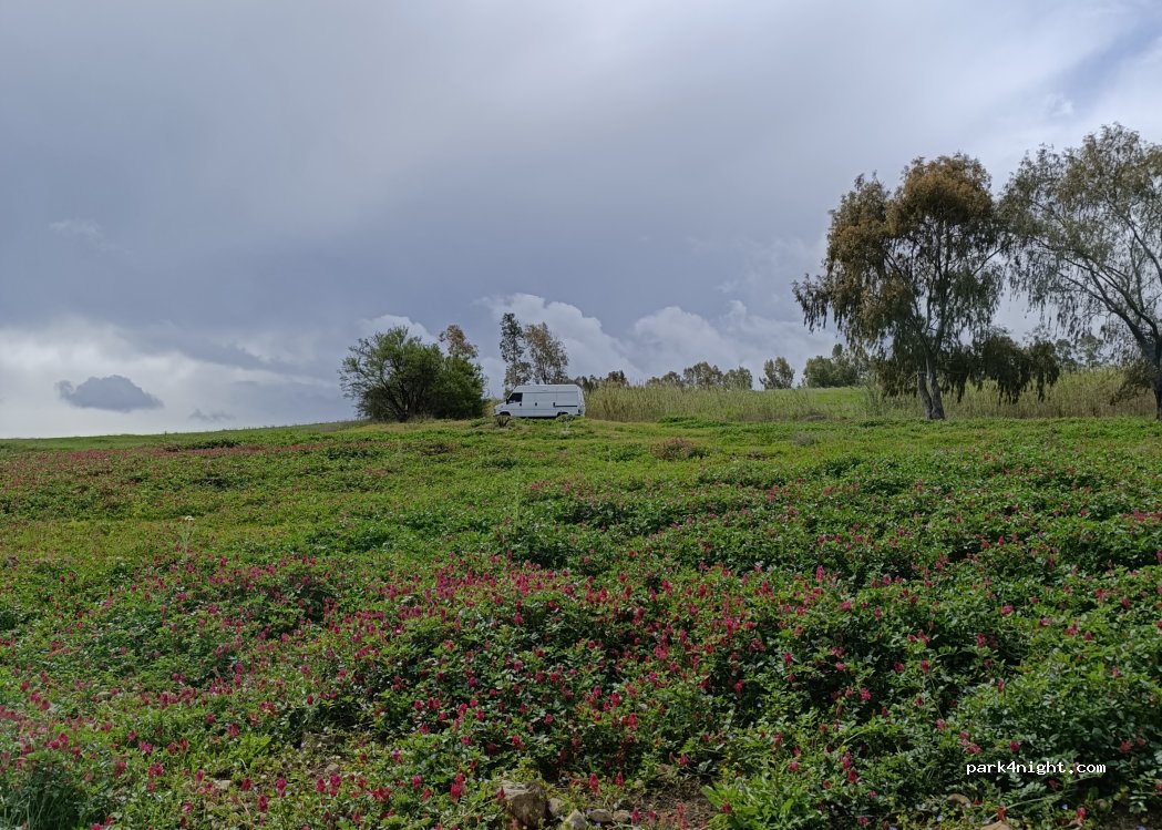 (90046) Monreale - — foto
